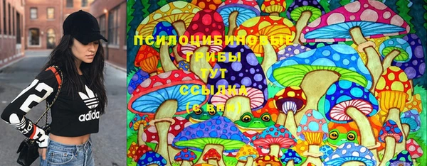 гашишное масло Гусиноозёрск