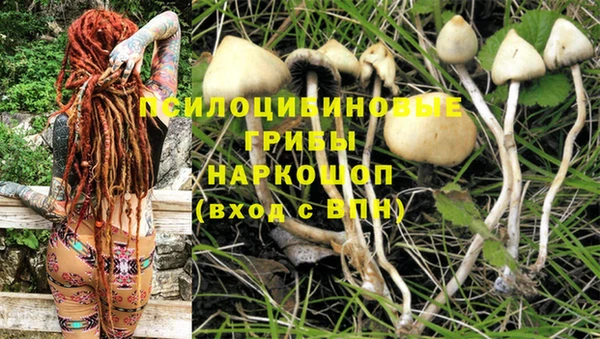mix Гусев